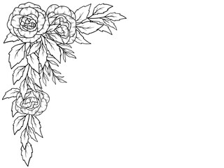 Outline Rose Flower Bouquet Line Art
