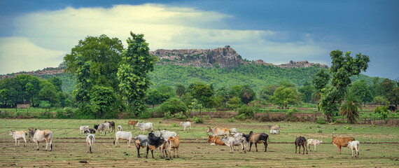 Beautiful Landscape of outer side of Orchha, Madhya Pradesh, India