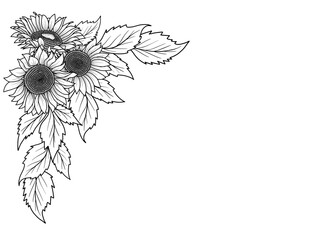 Flowers and Leaves Border Illustration
