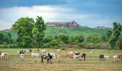 Beautiful Landscape of outer side of Orchha, Madhya Pradesh, India
