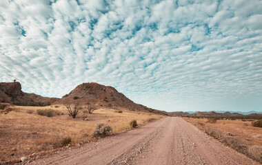 Road in Baja