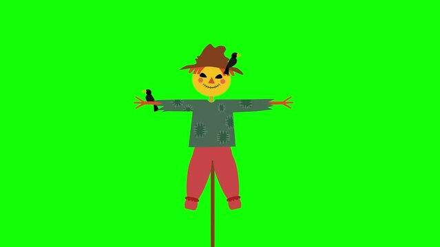 field scarecrow, cartoon animation on green background