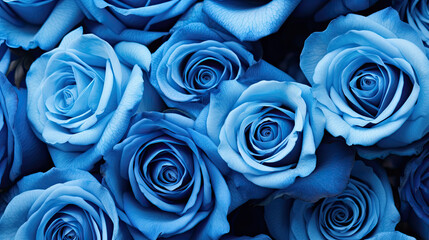 Many blue roExtreme close-up red rose backgroundses banner