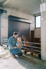 Goat stands leaning on the fence of the paddock and sniffs the hair of a little girl standing next to dad