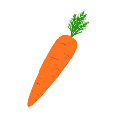 Carrot. Fresh root vegetable. Concepts of food and cooking. Colorful spring vegetable. Natural product. Healthy eating and diet. Design of greeting cards, posters, patches, prints on clothes, emblems.