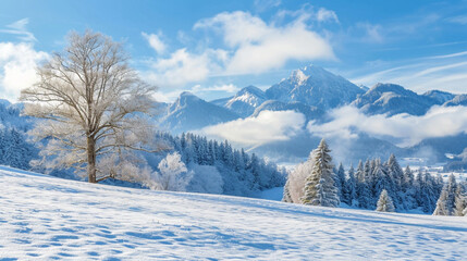 Fototapeta premium snowy mountain view forest, winter vacation, skiing, winter camping