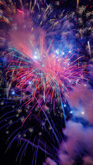 fireworks in the night sky