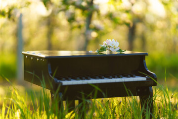 An apple blossom placed on a piano standing in an apple orchard. Background with copy space.