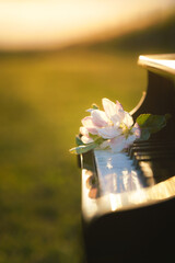 A piano standing on a wider lawn with a branch of a blooming apple tree on it during a beautiful sunset.