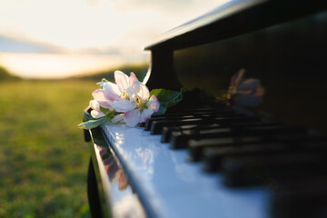 A piano standing on a wider lawn with a branch of a blooming apple tree on it during a beautiful sunset.