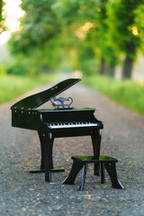 A piano standing on a blooming chestnut alley during sunset.