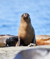 Puerto Madryn