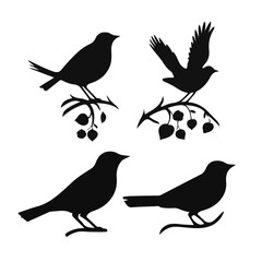 Vector Collection of Bird Silhouettes