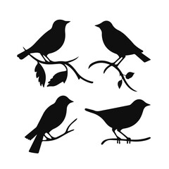Vector Collection of Bird Silhouettes