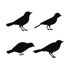Vector Collection of Bird Silhouettes