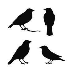 Vector Collection of Bird Silhouettes