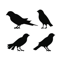 Vector Collection of Bird Silhouettes
