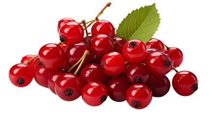 
Ugni berry, transparent background, high-resolution image, exotic fruit, culinary ingredient, botanical illustration, berry clipart