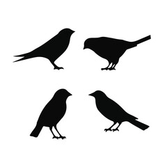 Vector Collection of Bird Silhouettes