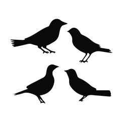 Vector Collection of Bird Silhouettes