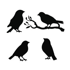 Fototapeta premium Vector Collection of Bird Silhouettes