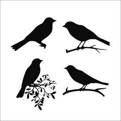Obraz premium Vector Collection of Bird Silhouettes