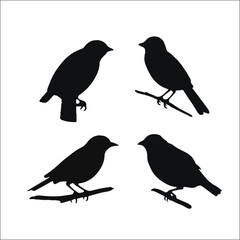 Obraz premium Vector Collection of Bird Silhouettes