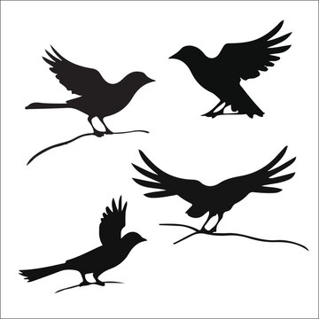 Vector Collection of Bird Silhouettes