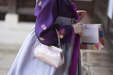 Woman in Korean traditional clothes holding shopping bag
