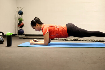 Woman in sportswear and leggings doing abdominal workout, plank exercises, core exercises.