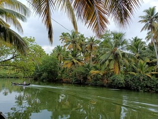 A wooden vehicle used for water transport is usually called a canoe.