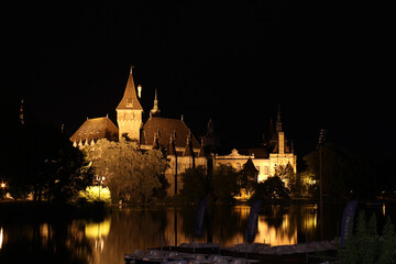 Castle in night