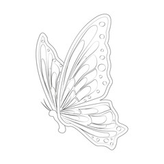 Moth outline. Elegant butterfly with colorful wings and antennae, on a white background. Flying moth. Design of greeting cards, posters, patches, prints on clothes, emblems. Butterfly silhouette.