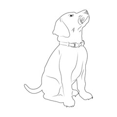 Silhouette dog drawn in pencil. Dog in a collar on a white background. Design of greeting cards, posters, patches, prints on clothes, emblems. Puppy. Pet.