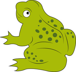 Frog on a white background. Green toad. A frog hunts a dragonfly in a pond, swamp or lake. Design of greeting cards, posters, patches, prints on clothes, emblems. Watercolor style.