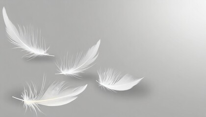 abstract white bird feathers falling in the air floating feathers softness of feather on gray background