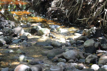water flowing into the river