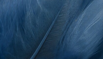 macro of blue feathers texture as background swan feather dark blue feather vintage backdrop
