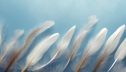 feathers on a blue background wallpaper for the room airy painted feathers