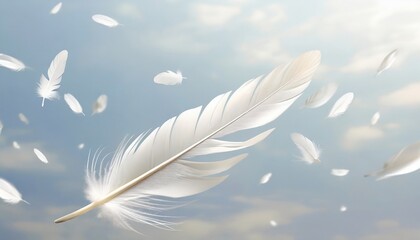 abstract white bird feather falling in the air float feather