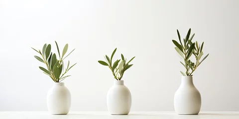 Zelfklevend Fotobehang Modern minimalist style interior decorations featuring three small vases with olive branches on white backdrop. © Vusal