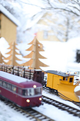 train in snow
