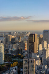 Fototapeta na wymiar High angle urban landscape of Tokyo, Japan at dusk