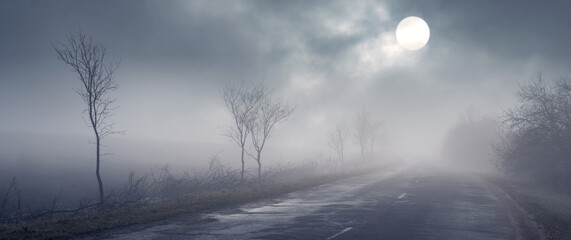 Spring landscape with trees along the road in thick fog and clouds in the sky through which the sun is peeking - obrazy, fototapety, plakaty