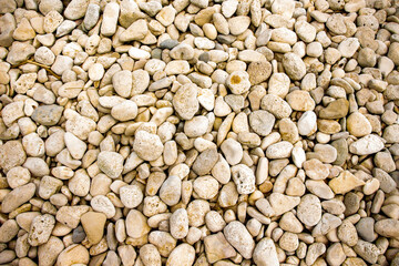 Smooth stones on the shores of the Adriatic Sea