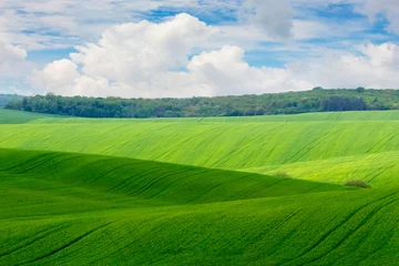 Outdoor-Kissen Spring landscape with a green field, a forest in the distance and a picturesque blue sky with white clouds © Volodymyr
