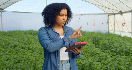 Multi-ethnic woman farmer monitoring crops in greenhouse with digital tablet