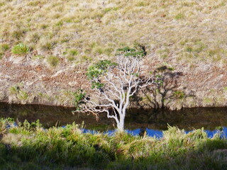 Horton Plains au Sri Lanka