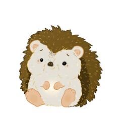 cute hedgehog 