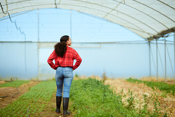 Back view of multi-ethnic female farmer walking in greenhouse